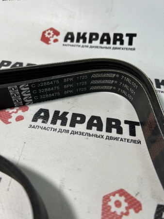Ремень приводной 8PK1725 ISLe 8.9L производства , арт.3288475